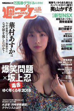 坚如磐石演员表